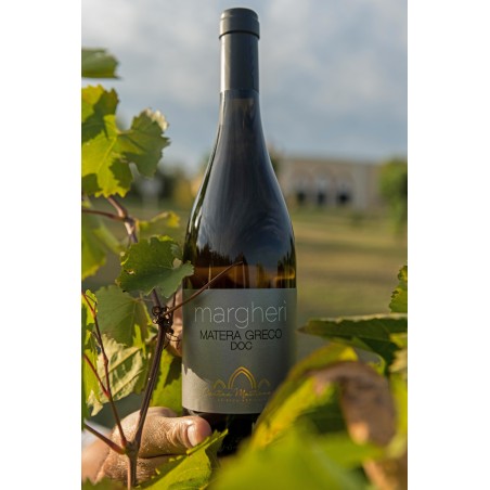 Margherì - Matera Greco DOC Bianco Biologico 2021